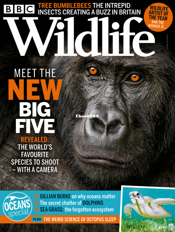 BBC Wildlife 07.2021 - 1.png