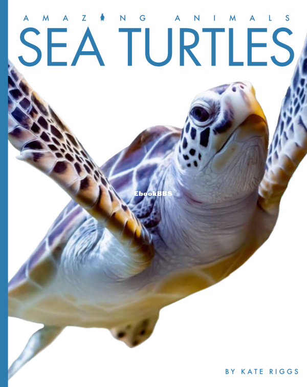 Sea Turtles (Amazing Animals) - 1.png