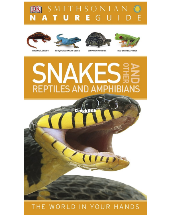 Nature Guide Snakes and Other Reptiles and Amphibians by DK Publishing - 1.png