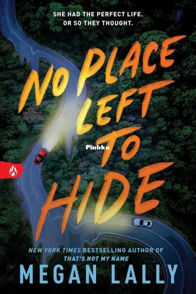 No Place Left to Hide.jpg