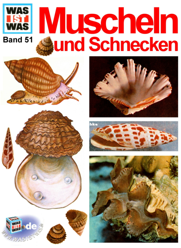 Was_ist_Was_-_051_-_Muscheln_und_Schnecken - 1.png