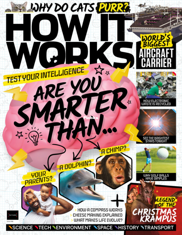 How It Works I172 2022 - 1.png