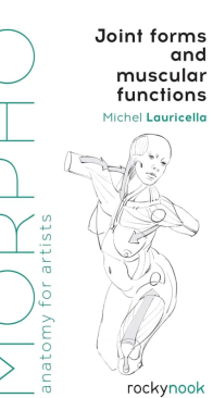 Morpho: Joint Forms and Muscular Functions - Anatomy for Artists 5 - Michel Lauricella - English