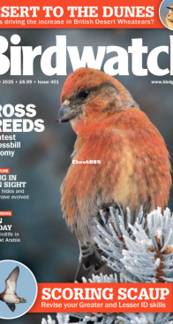 Birdwatch UK - Issue 401 - 11.2025 - English