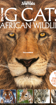 Book of Big Cats and African Wildlife - World of Animals - English