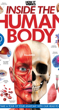 Inside the Human Body - How it Works - English
