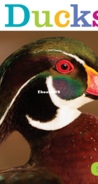 Ducks - Seedlings - Kate Riggs - English