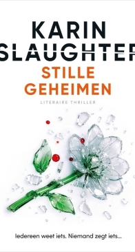 Stille Geheimen - Karin Slaughter - Dutch