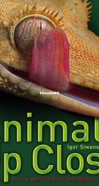 Animals Up Close - DK - Igor Siwanowicz - English