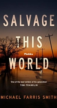 Salvage This World - Michael Farris Smith - English