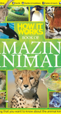 Book of Amazing Animals - How it Works - English